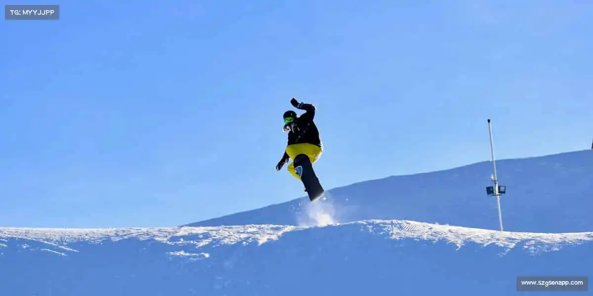 行业领先的理由